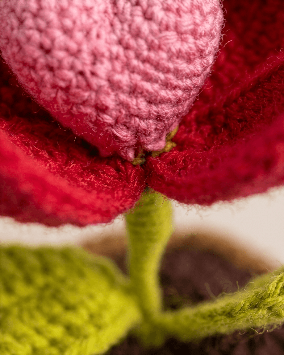 Blooming Love Crochet Flower Pot β image 3